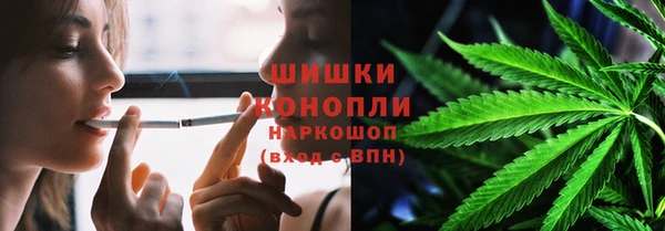стаф Дмитров