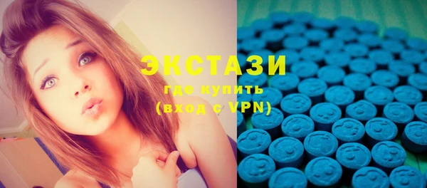 стаф Дмитров