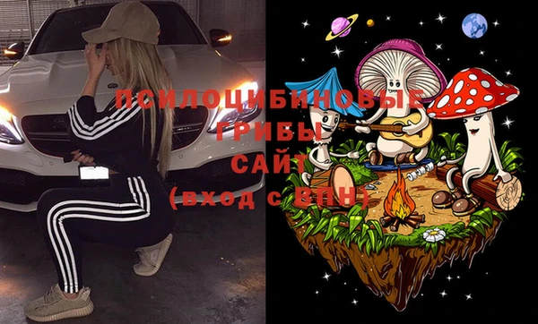 стаф Дмитров