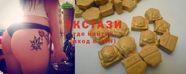 стаф Дмитров