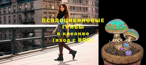 эйфоретик Дмитровск