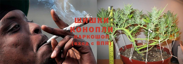 прущая мука Дмитриев