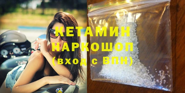 стаф Дмитров