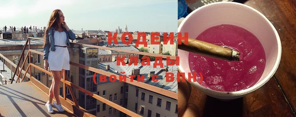 стаф Дмитров