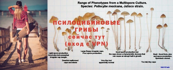 эйфоретик Дмитровск