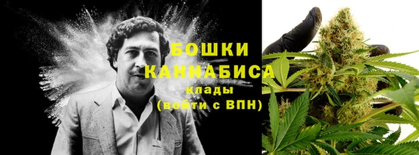 эйфоретик Дмитровск