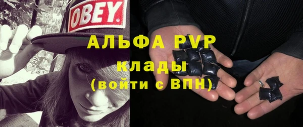 стаф Дмитров