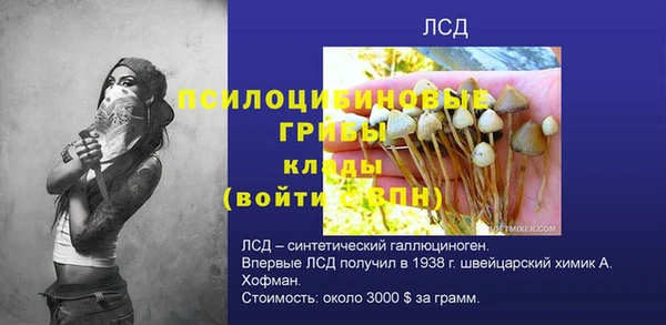 стаф Пересвет