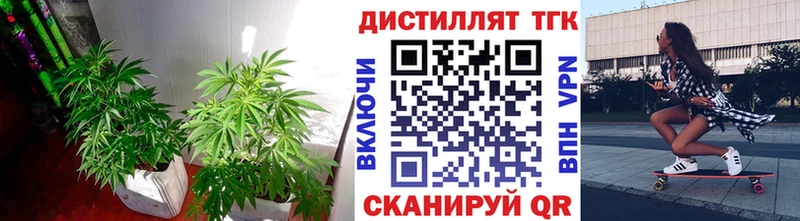 Дистиллят ТГК концентрат  закладки  Новоржев 