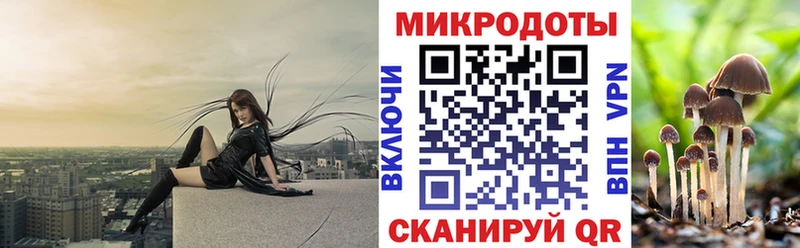 Псилоцибиновые грибы Psilocybine cubensis  mega зеркало  Новоржев  купить  