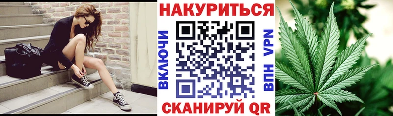 мега маркетплейс  Новоржев  Конопля OG Kush 